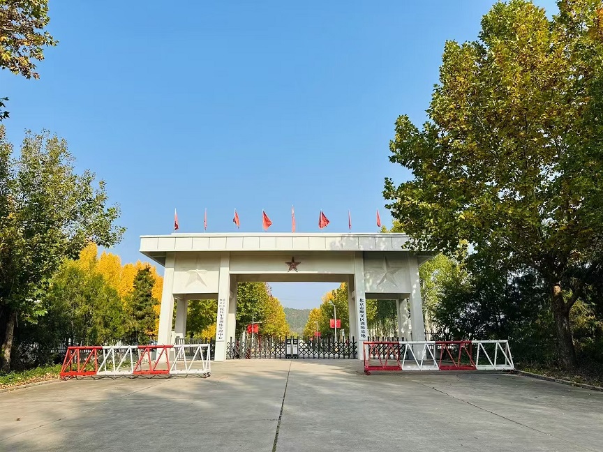 ������ѵ����