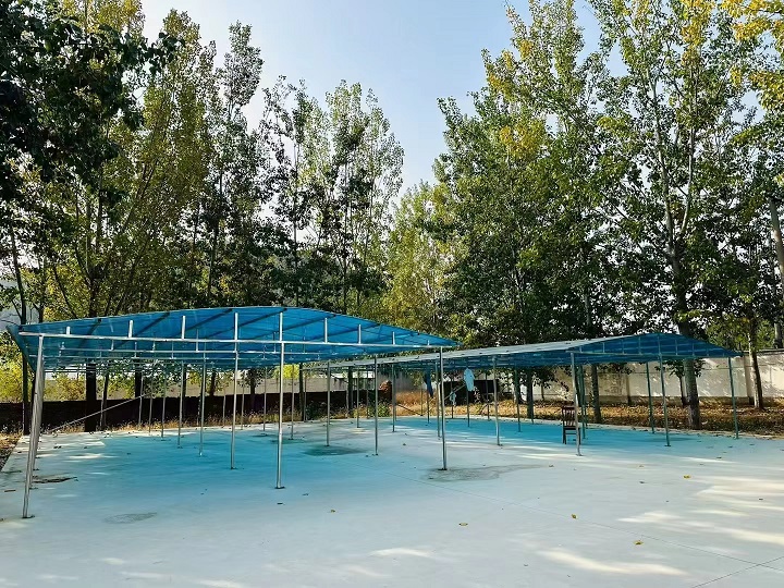 ������ѵ����