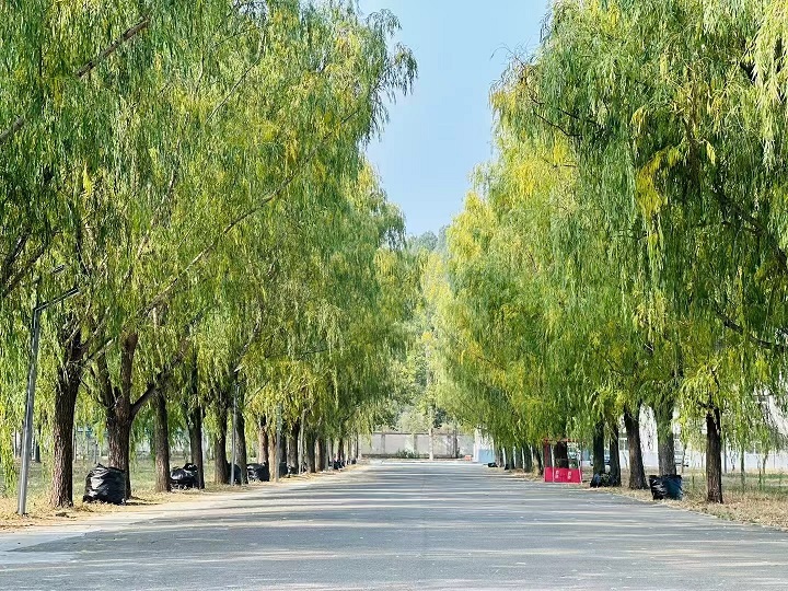 ������ѵ����