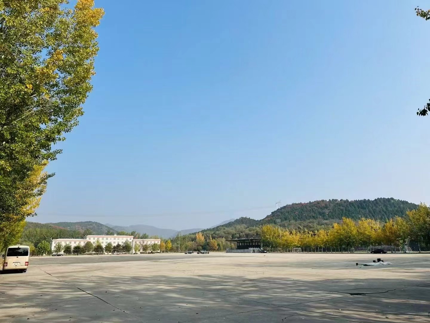 ������ѵ����